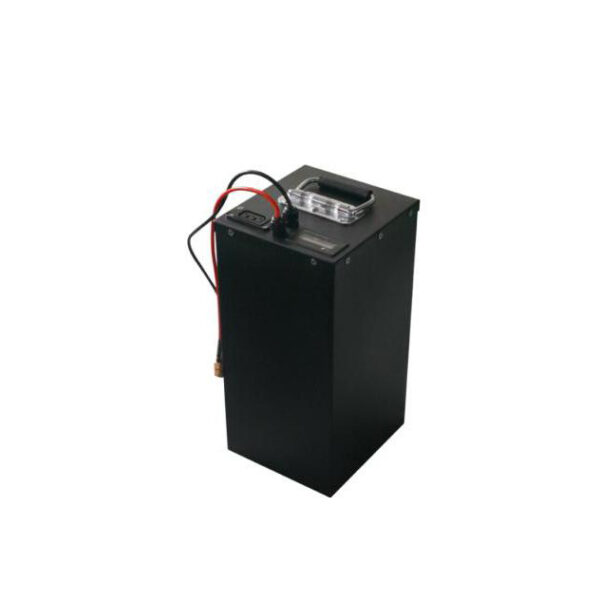 60V 30Ah Electric Citycoco Battery