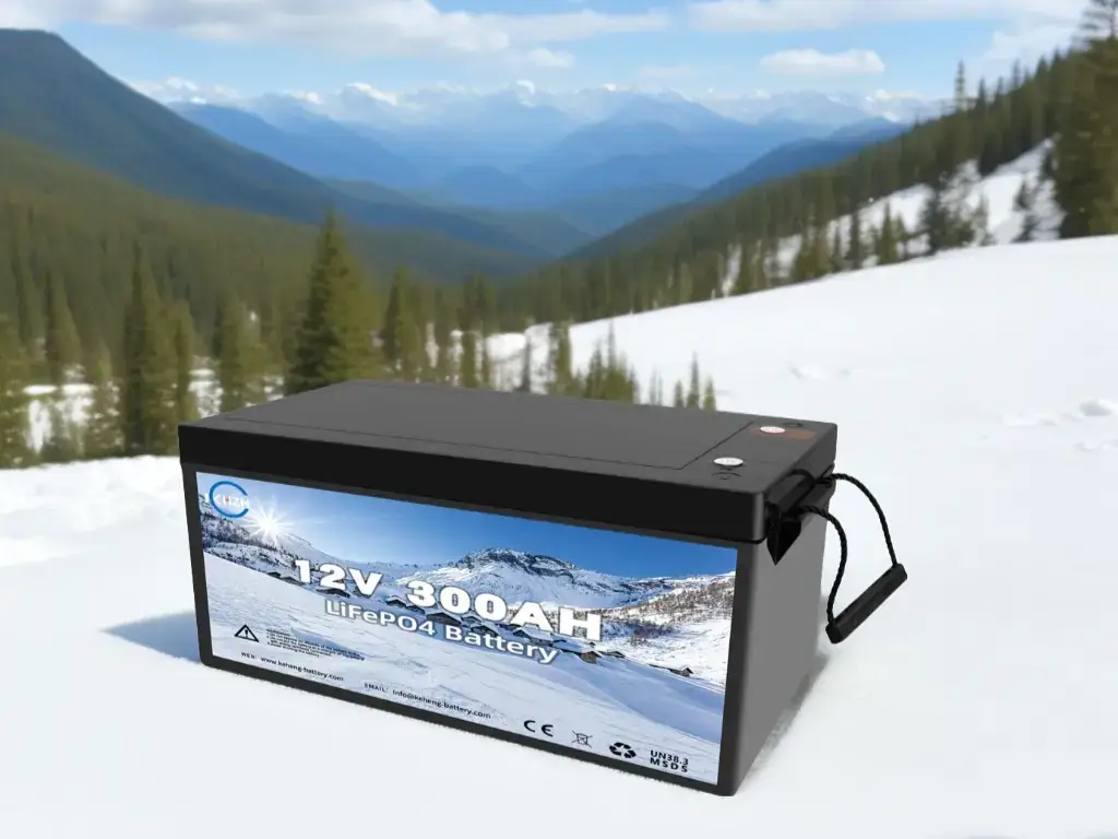 best batteries for cold weather