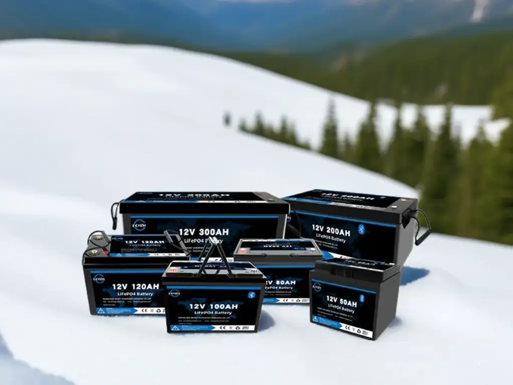 best batteries for cold weather