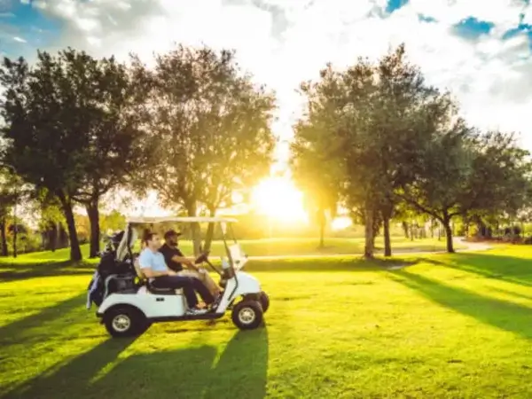 golf cart battery maintain