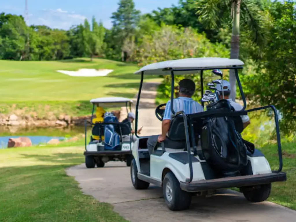 golf cart battery maintain